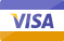 visa card